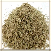 小茴香提取物 比例浓缩提取 水溶性好 喷雾干燥工艺 包邮