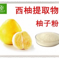 柚子粉 柚子果粉 柚子汁粉 10:1 薄层色谱检测