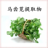 马齿苋提取物 高比例浓缩萃取 喷雾干燥工艺 可提供小样