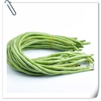 豆角提取物 全水溶喷雾干燥粉末 库存充足 可免费试样