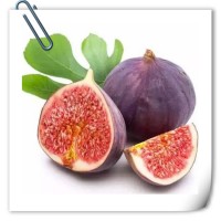 无花果提取物 全水溶喷雾干燥粉末 库存充足 可免费试样