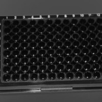 上海晶安96孔黑色不可拆酶标板 发光板 无菌独立装