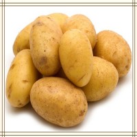马铃薯提取物 全水溶喷雾干燥粉末 资质齐全 可提供小样