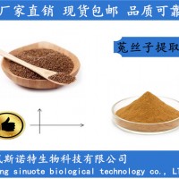 菟丝子提取物 菟丝子萃取粉厂家 速溶现货