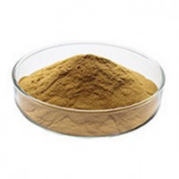 红藜麦提取物 红藜麦肽 高蛋白小分子肽 生产厂家供应