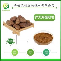 胖大海粉的价格