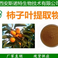 柿子叶提取物 柿子叶粉 斯诺特生物专业比例提取