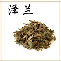 泽兰提取物 高倍浓缩萃取 易溶于水 喷雾干燥工艺 可试样