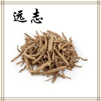 远志提取物 高倍浓缩萃取 易溶于水 喷雾干燥工艺 可试样