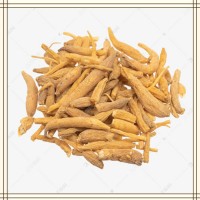 太子参提取物 高倍浓缩萃取 易溶于水 喷雾干燥工艺 可试样