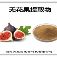 无花果提取物 无花果粉 植物萃取粉 果蔬粉