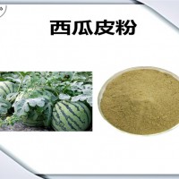 西瓜皮浓缩粉 西瓜皮粉 可定制多种规格 六盘韵