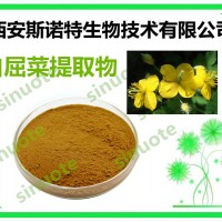 白屈菜提取物 山黄连提取物 提取物 包邮