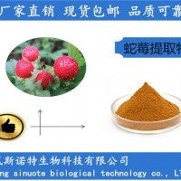 蛇莓提取物 野草莓提取物 蛇莓粉厂家