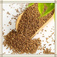 菟丝子提取物 全水溶喷雾干燥粉末 资质齐全 质量稳定 可试样