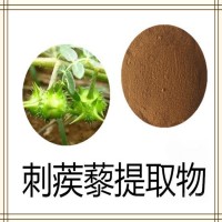 刺蒺藜提取物 全水溶喷雾干燥粉末 资质齐全 质量稳定 可试样