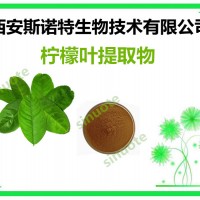 柠檬叶提取物 柠檬叶原料提取 库房现货