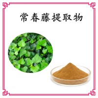 常春藤提取物 比例浓缩提取 溶解性好 喷雾干燥 支持拿样