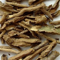 地骨皮提取物