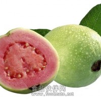番石榴提取物  番石榴粉