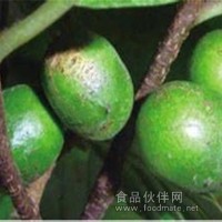 臀果木提取物