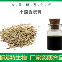 小茴香浸膏 生产厂家供应 小茴香提取液