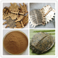 鳖甲提取物10:1多种规格厂家供应