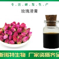 玫瑰花浸膏 玫瑰花提取液