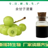 余甘子浸膏 生产厂家供应 余甘子提取液