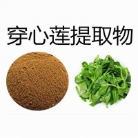 穿心莲提取物 穿心莲萃取粉