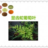 显齿蛇葡萄叶提取物的厂家