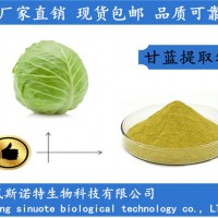 甘蓝提取物 绿甘蓝提取物 20:1甘蓝粉