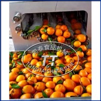 全自动柑橘洗果机 多功能连续毛辊果蔬清洗机
