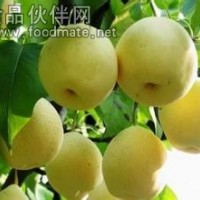 梨子粉 黄金梨果粉