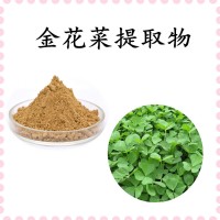 金花菜提取物 水溶性好 源头工厂直发 可免费试样
