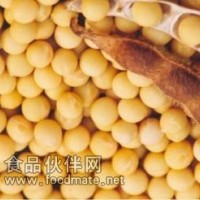 大豆提取物-厂家   价格优惠