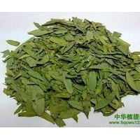 番泻叶提取物-厂家  番泻叶浸膏
