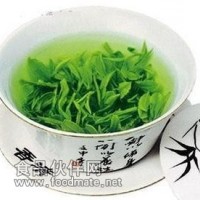 绿茶提取物-厂家  绿茶浸膏