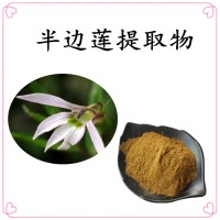 半边莲提取物 水溶性好 源头工厂直发 可免费试样
