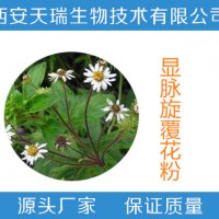 显脉旋覆花提取物  显脉旋覆花粉