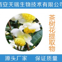 茶树花提取物 茶多酚