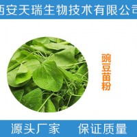 豌豆苗粉 豌豆苗浓缩粉 食品饮料原料