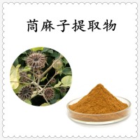 茼麻子提取物 水溶性好 源头工厂直发 可免费试样
