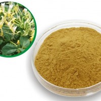金银花提取物/粉 药食同源原料