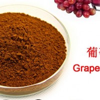 厂家供应 红葡萄粉