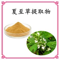 夏至草提取物 水溶性好 源头工厂直发 可免费试样