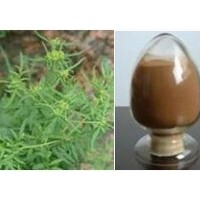 芦荟叶胶提取物-厂家  价格优惠