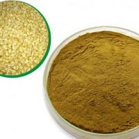 麦芽提取物/粉 药食同源原料