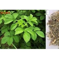 岩藻黄质-价格