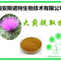 大蓟提取物 大蓟根提取物 大刺儿菜粉